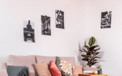 Silwy® Flex Magnethaken Inkl. Metall-Nano-Gel-Pads 5 Cm 8-tlg. Blau 13 Silwy® Flex Magnethaken Inkl. Metall-Nano-Gel-Pads 5 Cm 8-tlg. Blau -Camping im Freien 336857 2526568 1