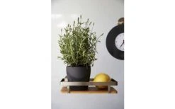 Wenko Universalregal Premium Wandregal 7 Wenko Universalregal Premium Wandregal -Camping im Freien 516434 3504149