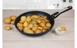 Cerafit Plasma Pfanne Set 2 Teilig 24 Cm -Camping im Freien 586859 4005987