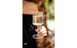 Berger Weinglas 2er Set 7 Berger Weinglas 2er Set -Camping im Freien 690069 4697631