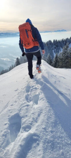 Ortovox Peak 35 - Tourenrucksack -Camping im Freien ortovox peak 35 tourenrucksack 479eeaaef0ad34f8d4b20e458b7c94a1 1