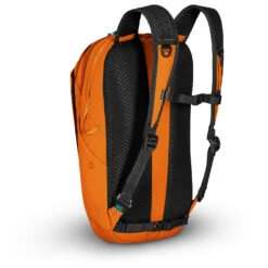 Pacsafe Eco 25 - Daypack -Camping im Freien pacsafe pacsafe eco 25 daypack detail 4